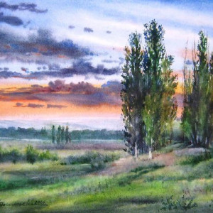 7
